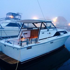 Meet your Posher, Liz